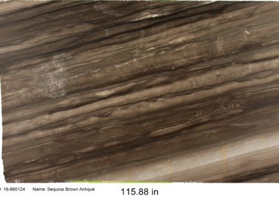 Sequoia Brown Antique Quartzite