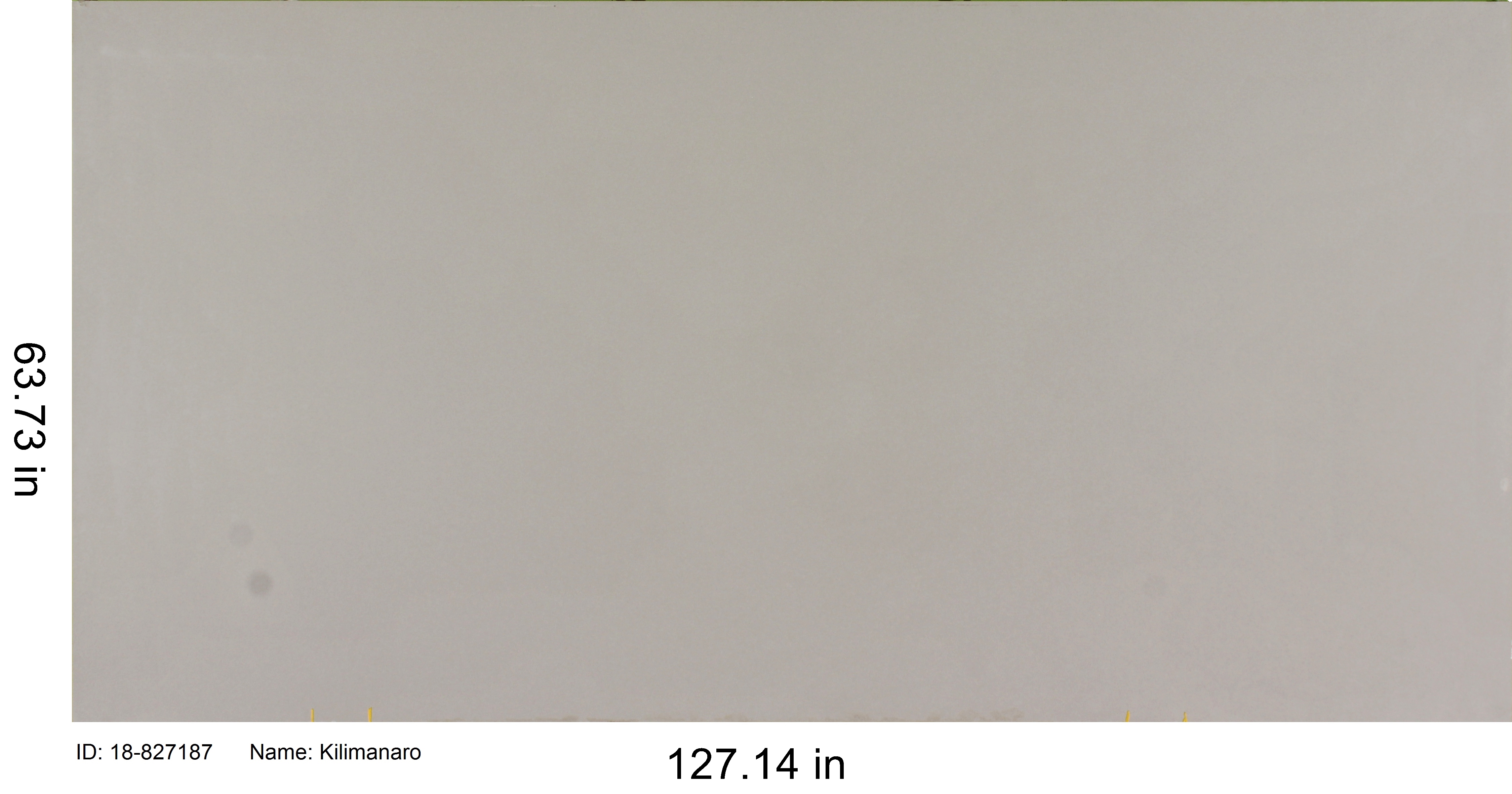 Kilimangaro Zeal Quartz C&D Granite