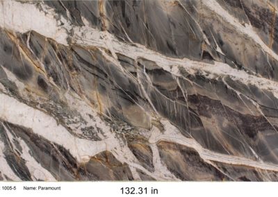 Paramount Quartzite