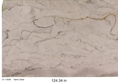 Dakar Quartzite