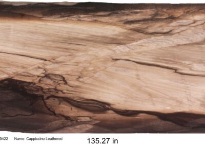 Cappuccino Leathered Quartzite